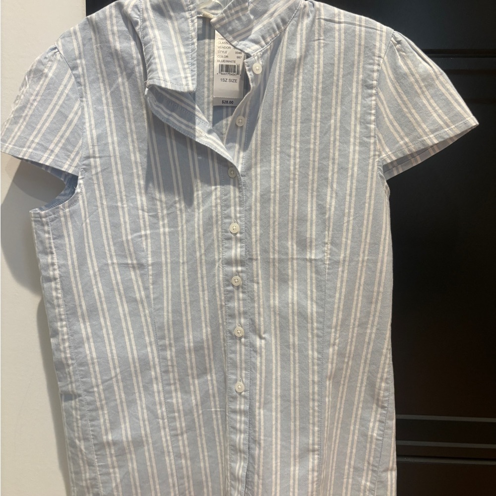 Brandy Melville Blue and White Striped Button Down Shirt